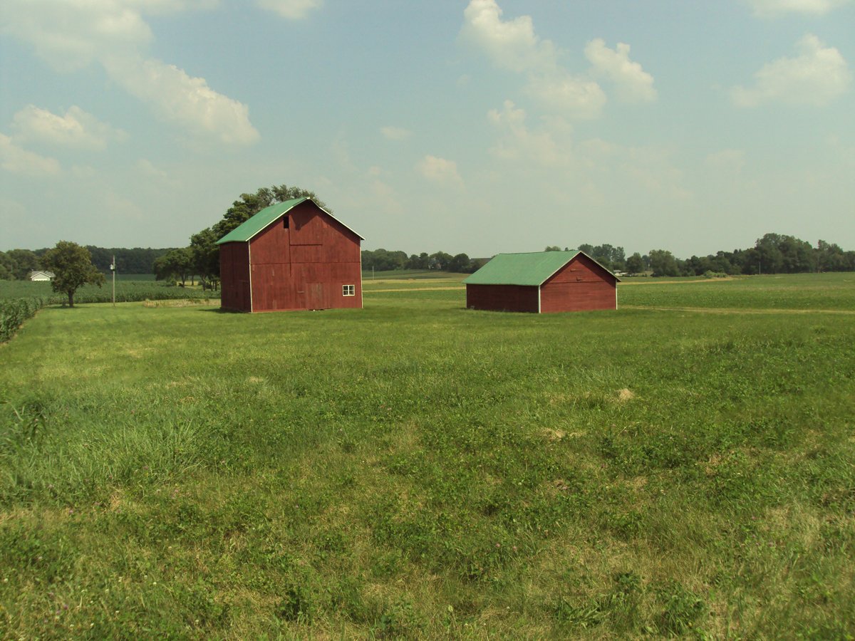 Property photo 37 - 160 Acres Offered in 6 Tracts